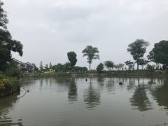 -鹅湖玫瑰文化园