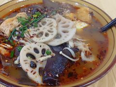 -嘉定紫藤园