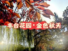 -丰台花园