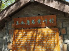 -红楼梦邮局