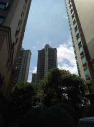 -茉莉花国际酒店·宴会厅