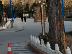 -森林公园(尖草坪区)