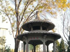 -玲珑塔公园