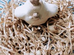 -馆陶手作坊DIY·陶艺·石塑粘土·石膏娃娃(车陂店)