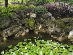 -东山雕花楼