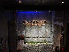 -糖朝(尖沙咀店)