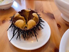 活海胆-海胆小馆(春柳店)