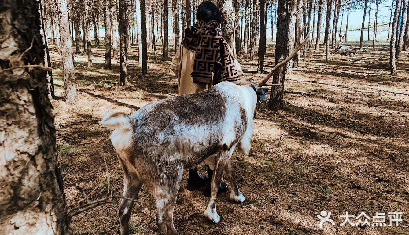 自驾内蒙乌兰布统 只有感悟的旅行🧳