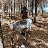 自驾内蒙乌兰布统 只有感悟的旅行🧳