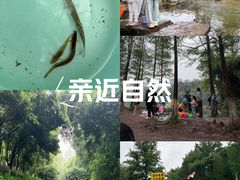 -重庆彩云湖湿地公园