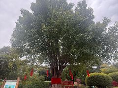 -福建鲤鱼洲酒店