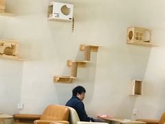 大堂-藏猫猫咖啡主题馆(中央大道店)