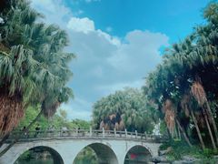 -柳侯公园