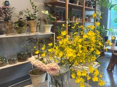 -dotcom coffee古点咖啡(致真大厦店)