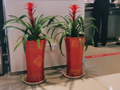 -招商银行(上海徐家汇支行)