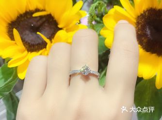 一辈子总要有一枚钻石小鸟率真女神