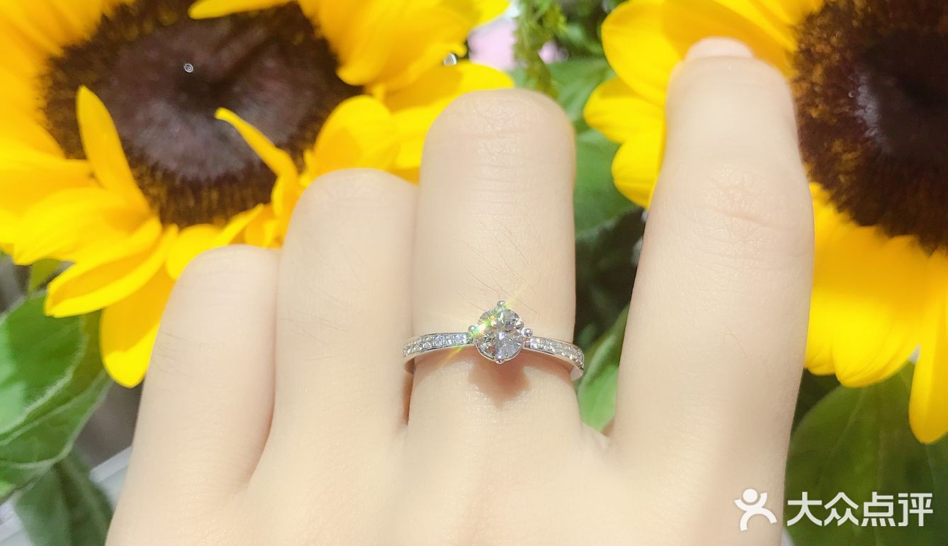 一辈子总要有一枚钻石小鸟💍率真女神