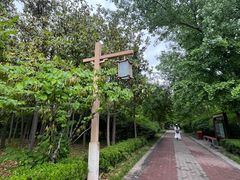 -洛阳市隋唐城遗址植物园