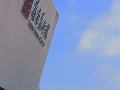 -岭南美术馆