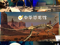 -中华恐龙园