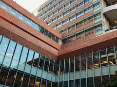 -香港大学