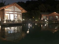 -杭州开元森泊度假乐园