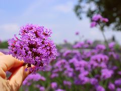 -杭州城北体育公园