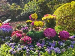 -云溪植物园