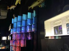 -同济大学四平路校区深海探索馆
