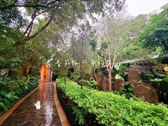 -海口观澜湖火山温泉谷