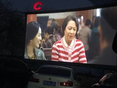 -枫花园汽车电影院(朝阳公园店)