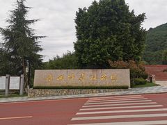 -铁山坪森林公园