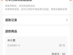 -好孕妈妈月嫂育儿嫂(锦江店)
