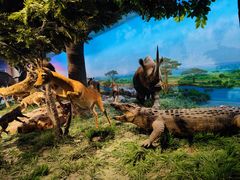 -国家自然博物馆