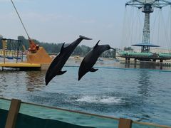 -秦皇岛乐岛海洋王国