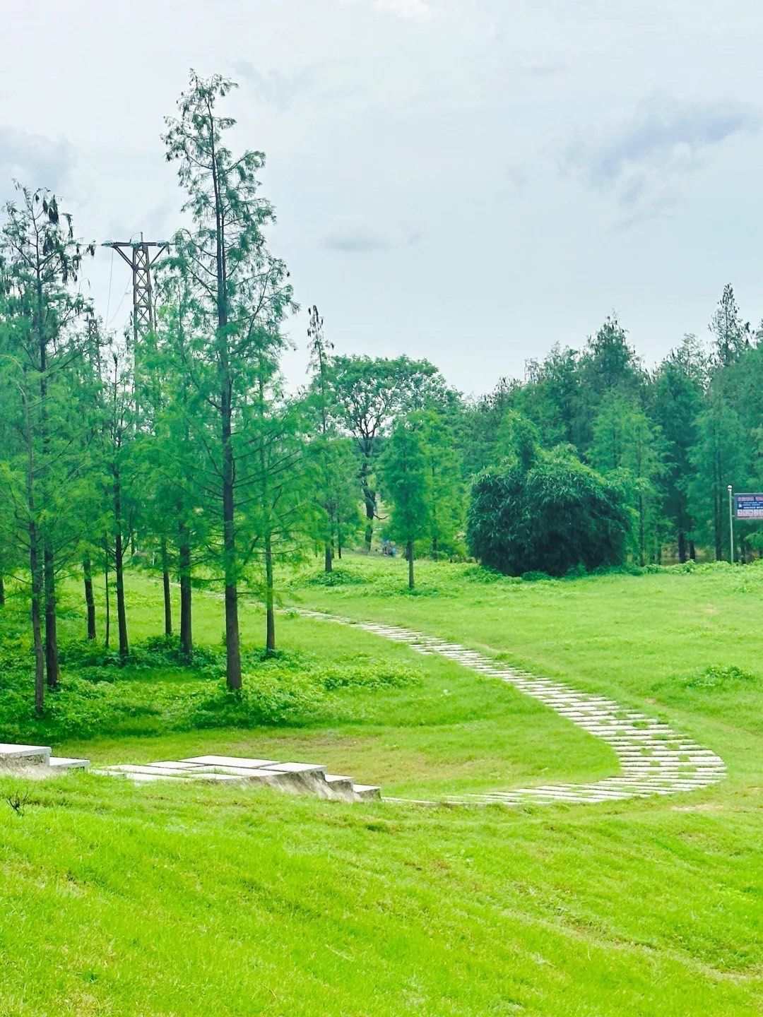 近地铁的绝美森林草原,秋游休闲的松弛感谁懂啊