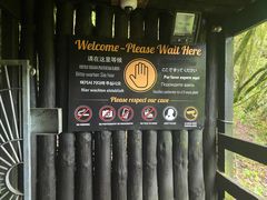 -怀托摩萤火虫洞