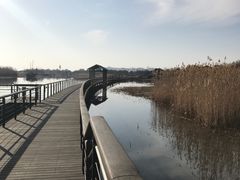-太湖湖滨国家湿地公园-停车场