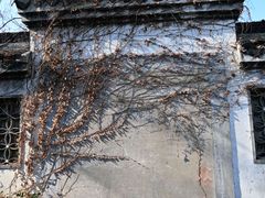 -枫泾古镇-人民公社旧址