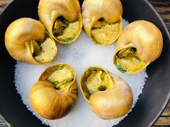 -金蜗牛