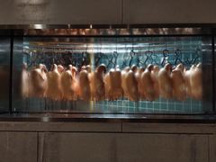 门面-悦江(梅奔中心店)