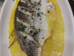 拉非黄鱼-四季暖堂·融合江浙菜(N1955创业园店)