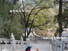 -八大处公园