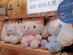 -猫的天空之城概念书店(苏州平江店)