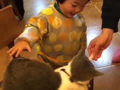 -李小姐の猫咖啡馆(五角场店)