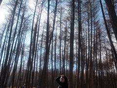 -硗碛藏寨·神木垒景区