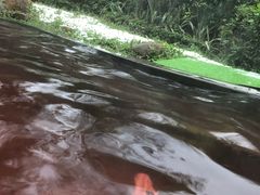 -碧桂园润杨溪谷温泉酒店