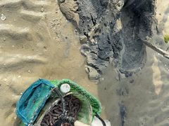 -北海金海湾红树林生态旅游区