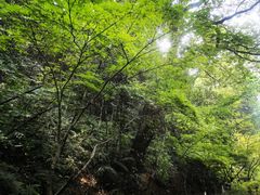 -杭州半山国家森林公园