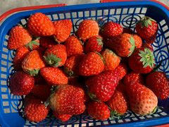 -大润发(梅兰东路店)